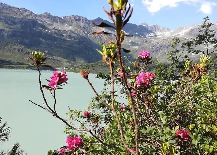 Appartement Haus Sabrina Rotpleiskopf *